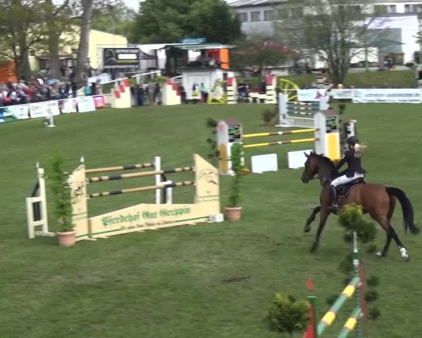 Reitturnier Greppin 2016