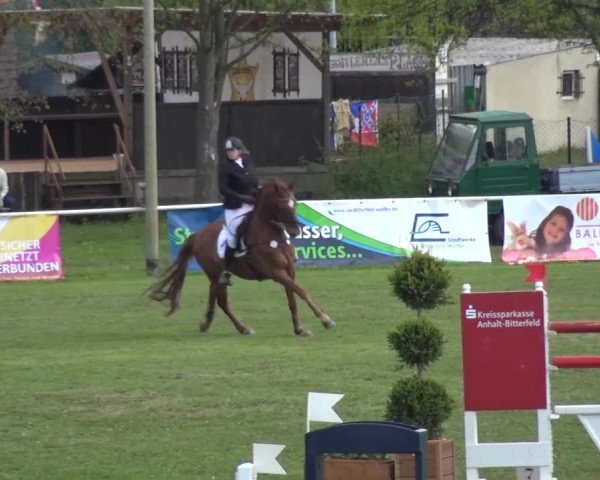 Reitturnier Greppin 2016