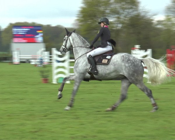 Reitturnier Lienen 2016