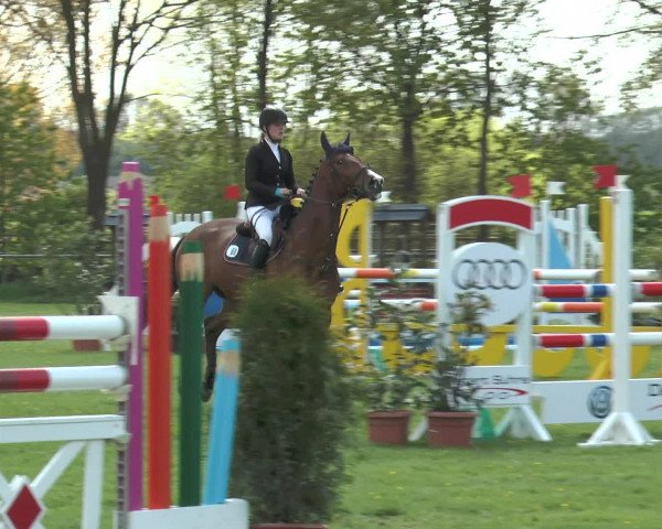 Reitturnier Lienen 2016