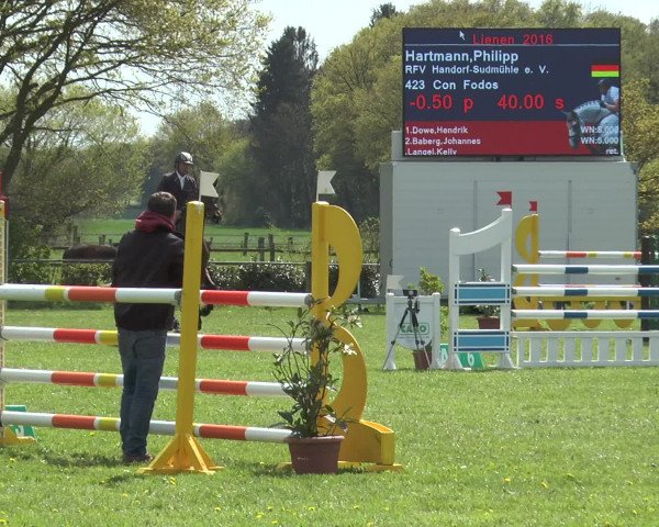 Reitturnier Lienen 2016