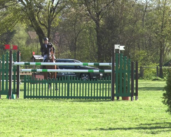 Reitturnier Lienen 2016