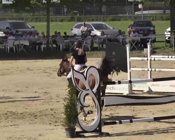 Springturnier Schwanheim 2016