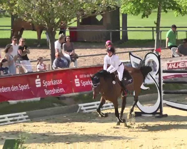 Springturnier Schwanheim 2016