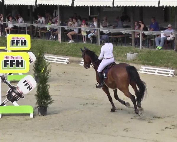 Springturnier Schwanheim 2016