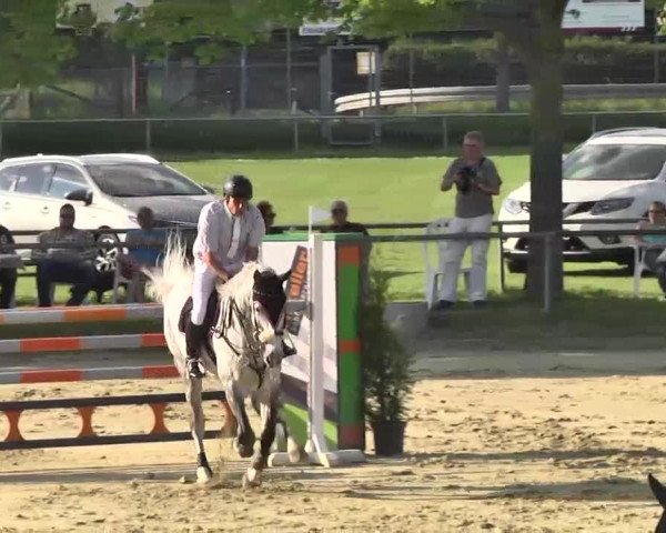 Springturnier Schwanheim 2016