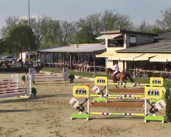 Springturnier Schwanheim 2016