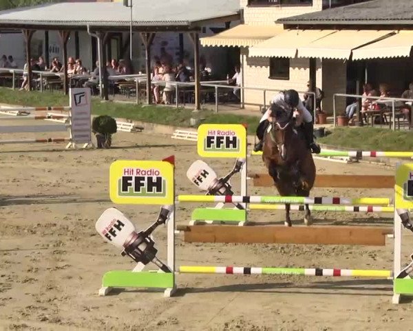 Springturnier Schwanheim 2016