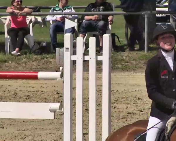 Springturnier Schwanheim 2016