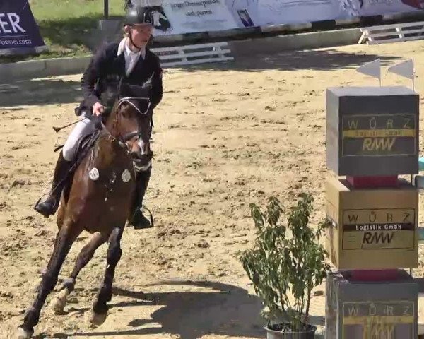 Springturnier Schwanheim 2016