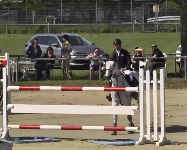 Springturnier Schwanheim 2016