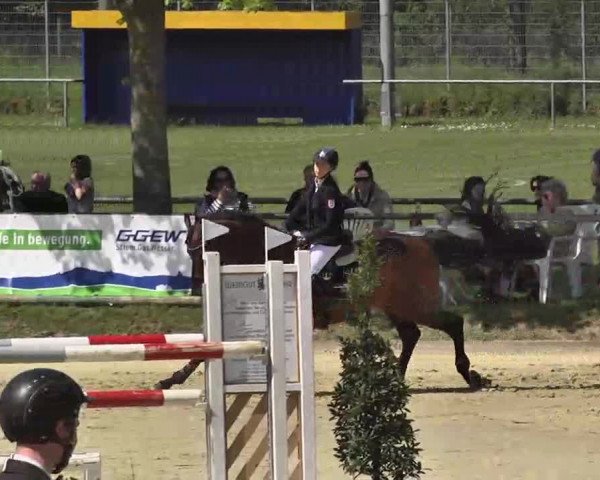 Springturnier Schwanheim 2016