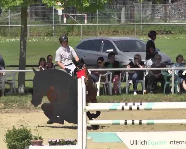 Springturnier Schwanheim 2016