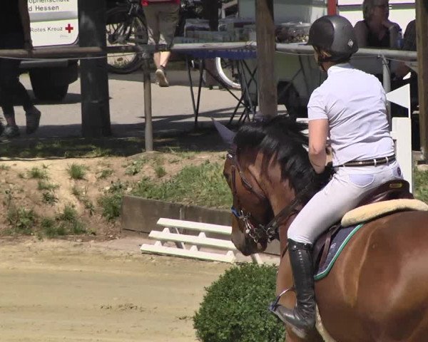 Springturnier Schwanheim 2016