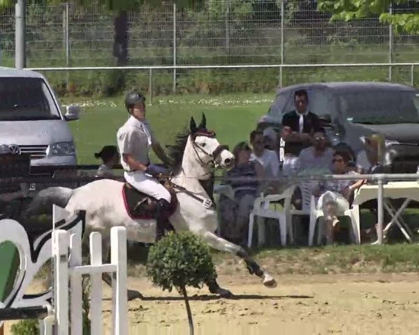 Springturnier Schwanheim 2016