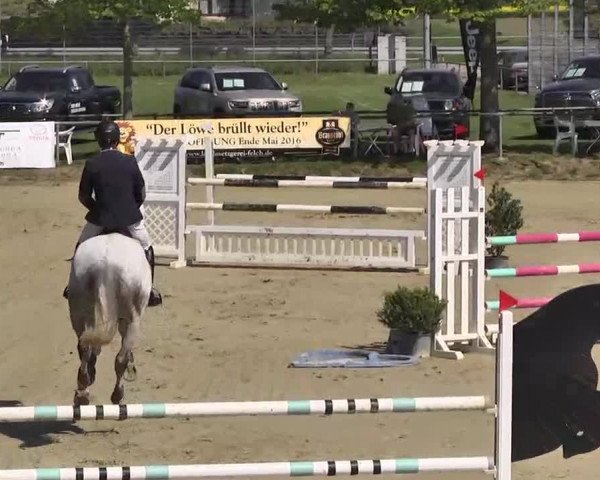 Springturnier Schwanheim 2016