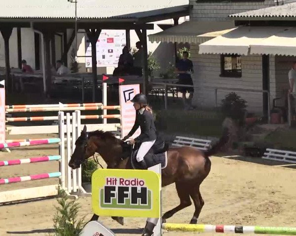 Springturnier Schwanheim 2016