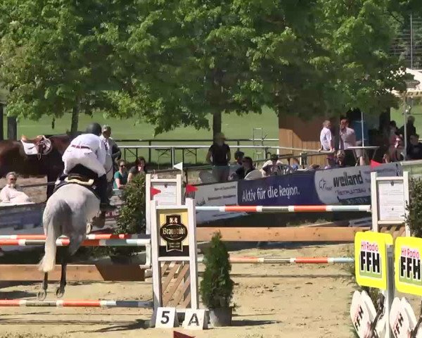 Springturnier Schwanheim 2016