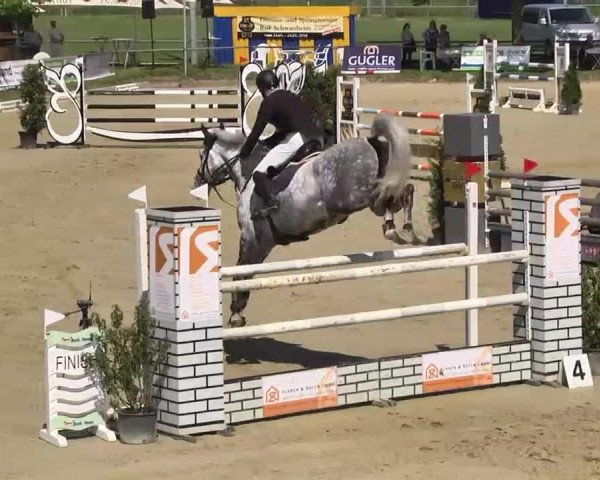 Springturnier Schwanheim 2016