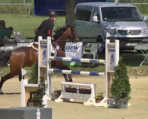 Springturnier Schwanheim 2016