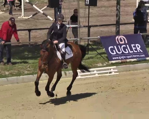 Springturnier Schwanheim 2016