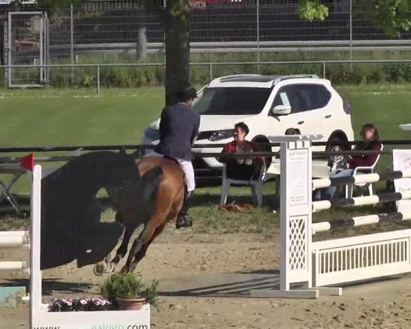 Springturnier Schwanheim 2016