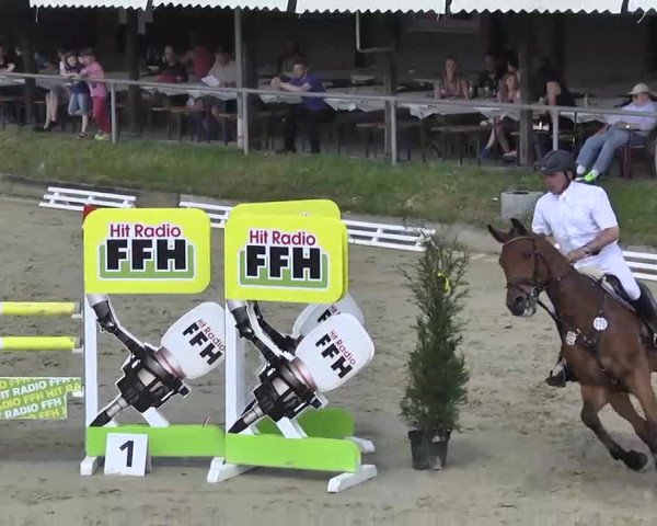 Springturnier Schwanheim 2016