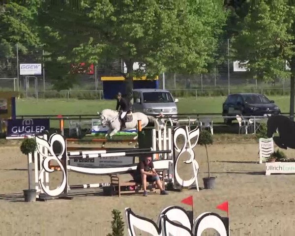 Springturnier Schwanheim 2016