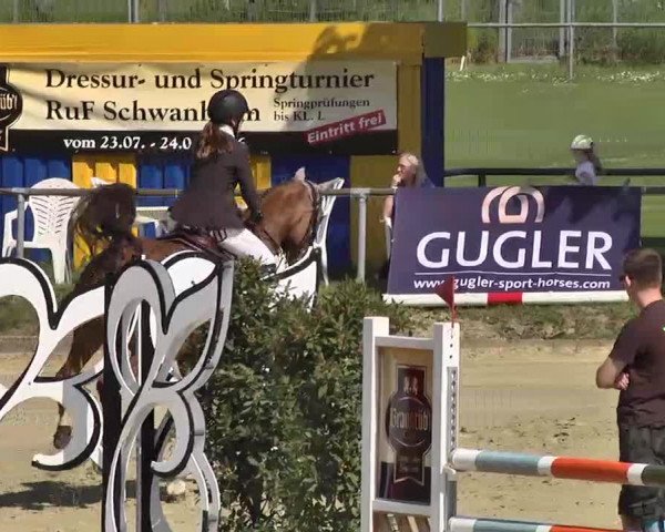 Springturnier Schwanheim 2016