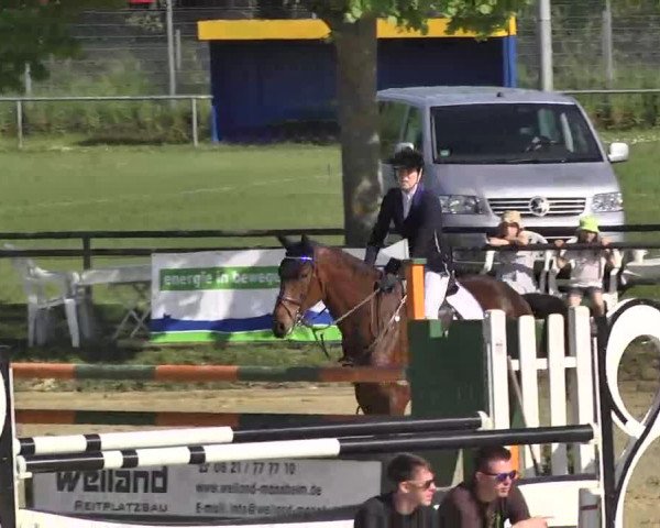 Springturnier Schwanheim 2016