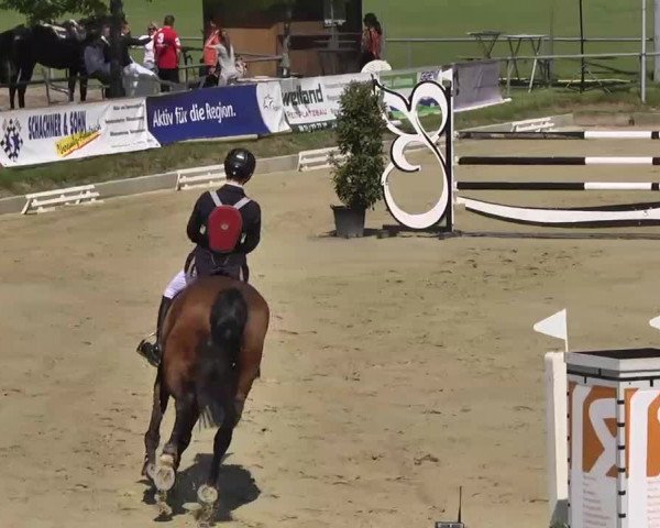 Springturnier Schwanheim 2016