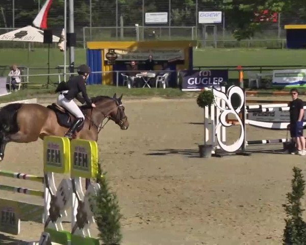 Springturnier Schwanheim 2016