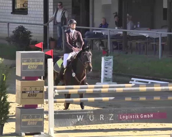 Springturnier Schwanheim 2016