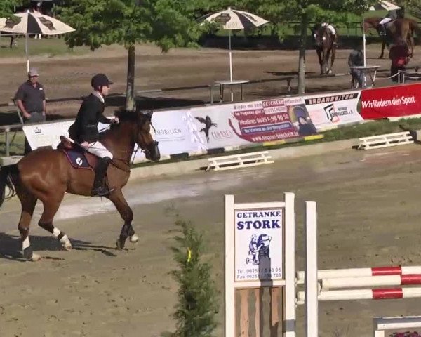 Springturnier Schwanheim 2016