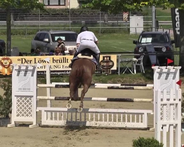 Springturnier Schwanheim 2016