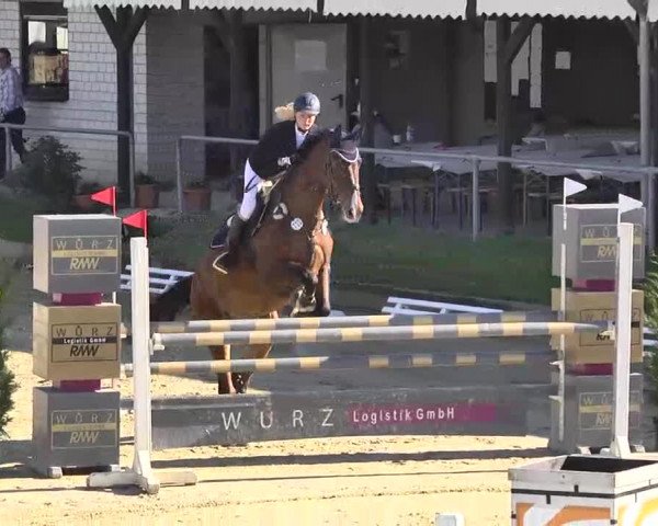 Springturnier Schwanheim 2016