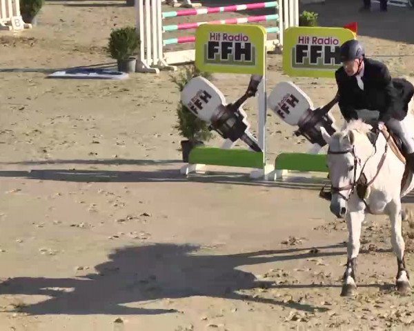 Springturnier Schwanheim 2016