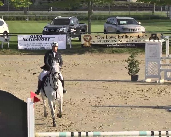 Springturnier Schwanheim 2016