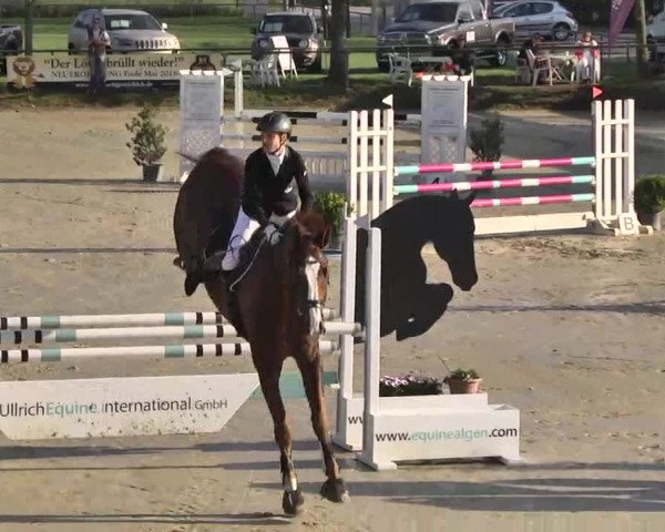 Springturnier Schwanheim 2016