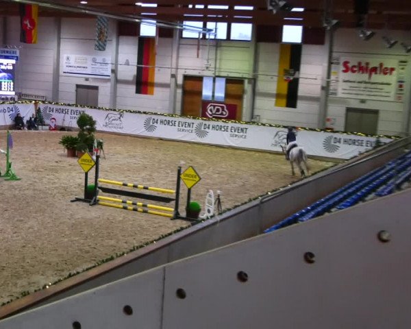 Christmas Jumping Trophy Prussendorf 2021