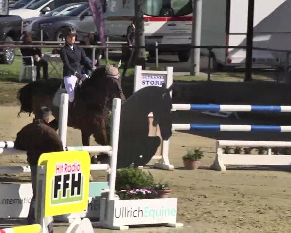 Springturnier Schwanheim 2016