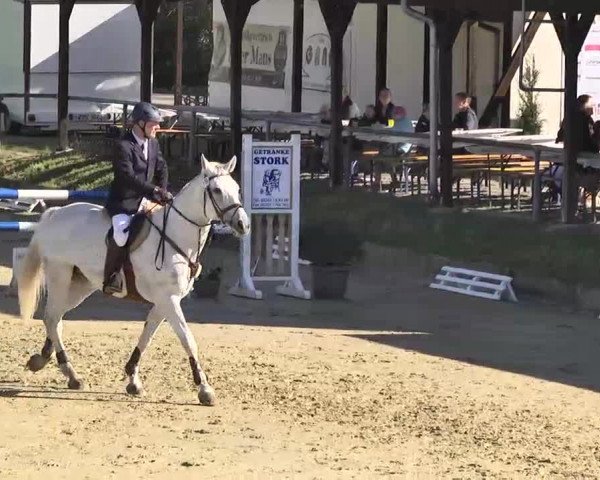Springturnier Schwanheim 2016