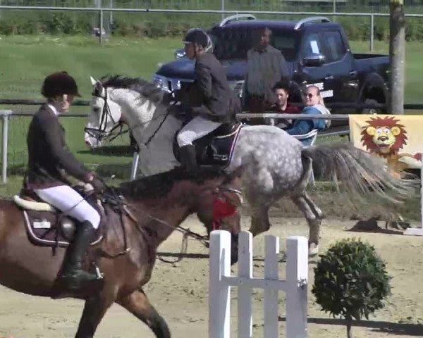 Springturnier Schwanheim 2016