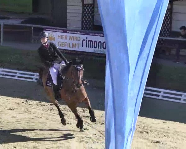 Springturnier Schwanheim 2016