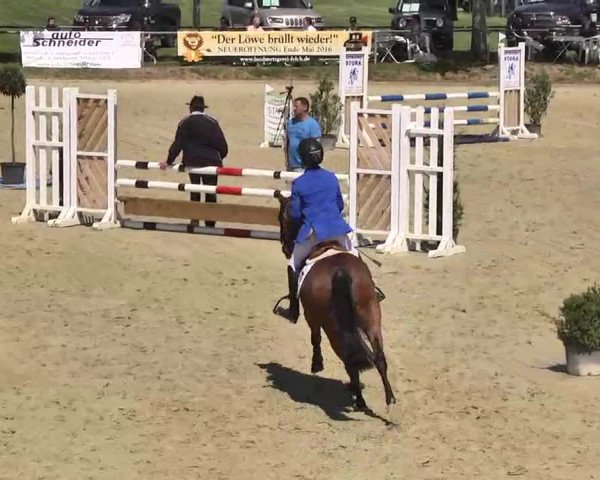 Springturnier Schwanheim 2016