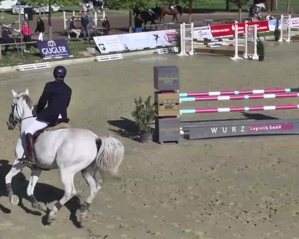 Springturnier Schwanheim 2016