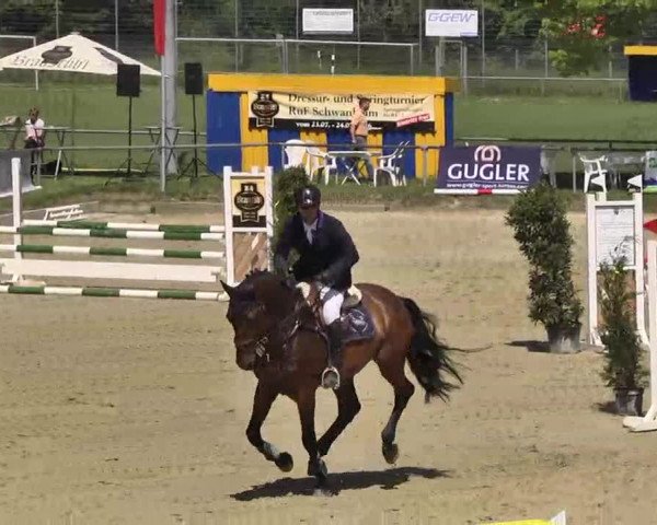 Springturnier Schwanheim 2016