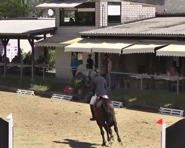Springturnier Schwanheim 2016