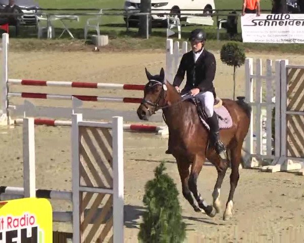 Springturnier Schwanheim 2016