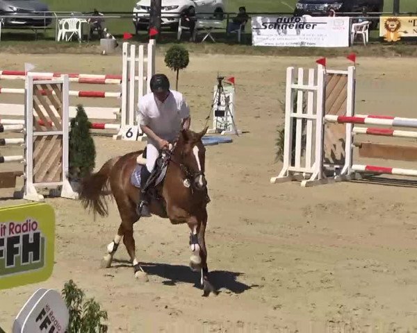 Springturnier Schwanheim 2016